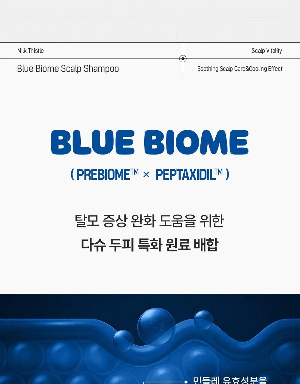 [포켓몬 에디션]다슈 데일리 밀크씨슬 블루바이옴 스칼프 샴푸 500ml(+피카츄 샴푸브러쉬) 상세페이지 25
